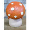 Baby Mushroom