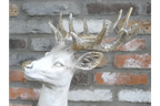 Majestic Large Stag Deer Statue - White & Gold MGO Garden Ornament