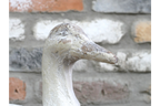 Rustic MGO Duck Garden Statue - White Shabby Chic Goose Bird Ornament