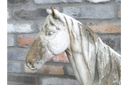 Rustic MGO Horse Garden Statue - Antique White Shabby Chic Lawn Ornament