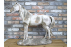 Rustic MGO Horse Garden Statue - Antique White Shabby Chic Lawn Ornament