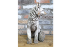 Rustic MGO Sitting Fox Statue - Antique White Shabby Chic Lawn Ornament
