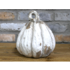 Pumpkin - Small