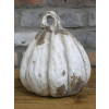 Pumpkin - Small
