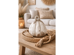 Pumpkin - Small
