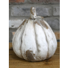 Pumpkin - Small