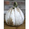 Pumpkin - Large