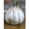 Pumpkin - Large
