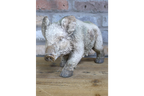 Rustic MGO Wild Boar Statue - Antique White Shabby Chic Pig Ornament