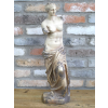 Venus Statue