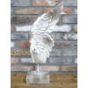 Angel Wing