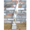 Angel Wing