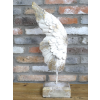 Angel Wing