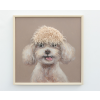Dog With Fringe