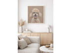 Dog With Fringe
