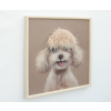 Dog With Fringe