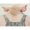 Pig With Mohawk