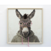 Donkey In A Hoodie