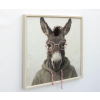 Donkey In A Hoodie