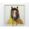 Horse In A Hoodie