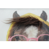 Horse In A Hoodie
