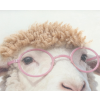 Sheep In A Hoodie
