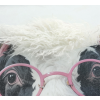 Cow In A Hoodie