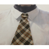 Bull In A Shirt & Tie