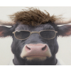 Bull In A Shirt & Tie