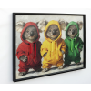 Koala's In Hoodies