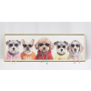 Dogs In Hoodies