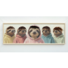 Sloth's In Hoodies