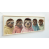 Sloth's In Hoodies