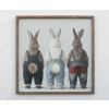 Rabbits In Dungarees