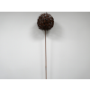 Rusty Butterfly Ball Stake