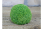 Green Flocked Hedgehog Garden Planter Novelty Moss Effect Flower Pot