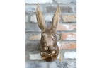 Gold Hare Wall Mount Monocle Bow Tie Rabbit Head Sculpture