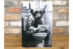 Highland Cow on Toilet Metal Sign - Quirky Bathroom Wall Art Print