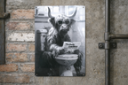 Highland Cow on Toilet Metal Sign - Quirky Bathroom Wall Art Print