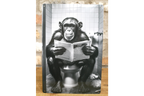Chimpanzee on Toilet Metal Sign - Quirky Bathroom Wall Art Plaque