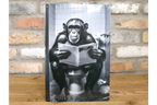 Chimpanzee on Toilet Metal Sign - Quirky Bathroom Wall Art Plaque