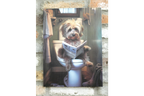 Scruffy Dog on Toilet Canvas Print - Funny Bathroom Canine Wall Art Decor