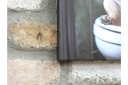French Bulldog on Toilet Canvas Print - Funny Bathroom Frenchie Wall Art