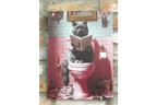 Fluffy Grey Cat on Toilet Canvas Print - Funny Bathroom Wall Art Decor
