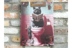 Fluffy Grey Cat on Toilet Canvas Print - Funny Bathroom Wall Art Decor