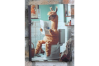 Fluffy Llama on Toilet Canvas Print - Funny Bathroom Wall Art Decor