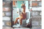 Fluffy Llama on Toilet Canvas Print - Funny Bathroom Wall Art Decor