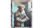 Highland Cow in Dressing Gown Canvas - Funny Toilet Bathroom Wall Art