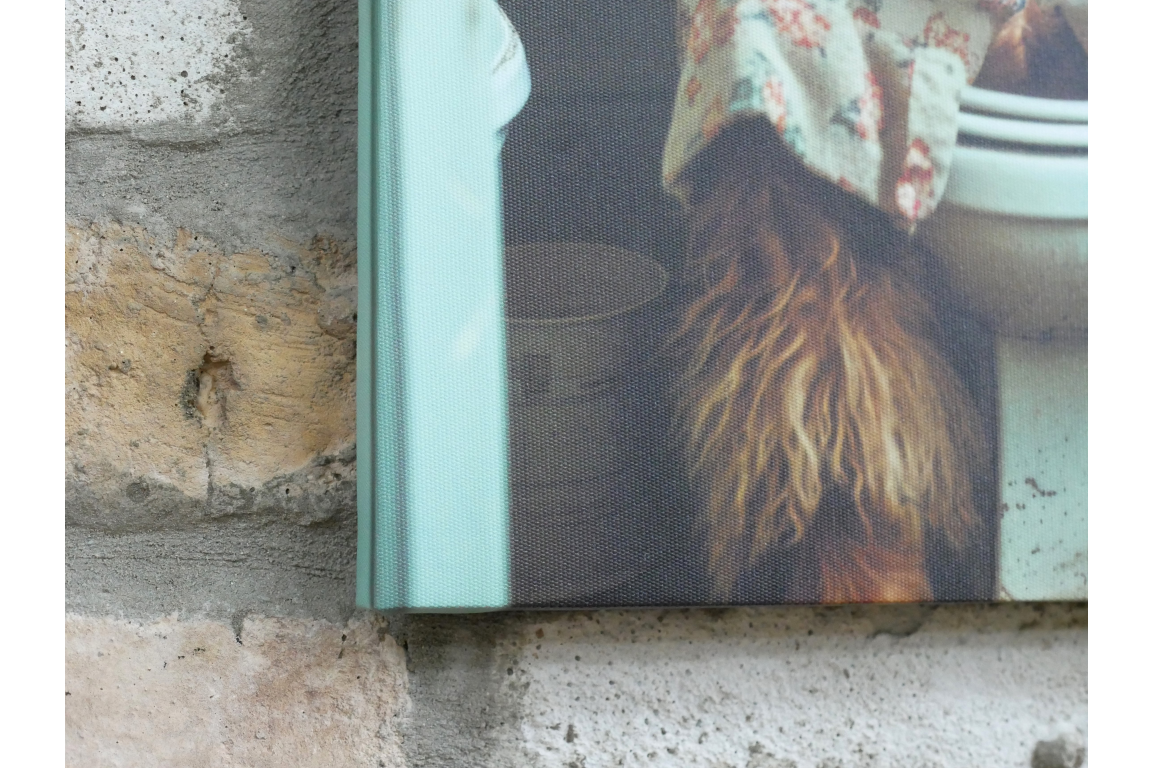 Highland Cow in Dressing Gown Canvas - Funny Toilet Bathroom Wall Art