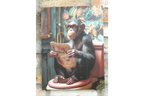 Chimpanzee with Glasses Canvas Print - Funny Bathroom Monkey Wall Art